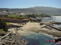 Hermanus