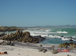 Strand Hermanus