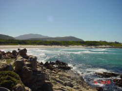 Strand ten westen van Hermanus