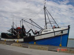 Hafen bei Velddrif