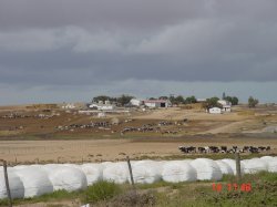 Farm bei Langebaan