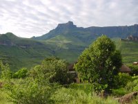 Amfitheater gezien van het Thendele Camp in het  Royal Natal National Park.