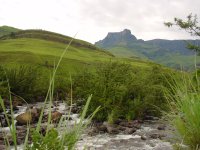 Amfitheater gesehen vom Thendele Camp im  Royal Natal National Park.