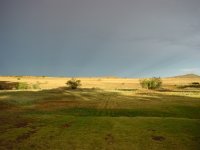 De Oude Kraal veld