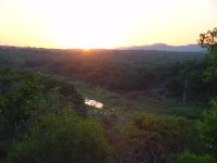 Sonnenuntergang.Beim Fluss sind Nashrner.