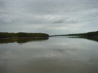 St.Lucia Estuary