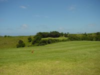 Wild Coast Golf.