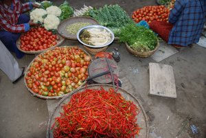 frisches Gemuese / verse groente / fresh veggies. 