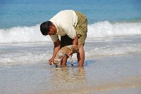 Der Hund wird mit einer Zahnbrste gewaschen / de hond wordt met een tandenborstel gewassen / the dog is washed with a tooth brush