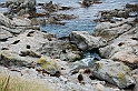 DSC_0369