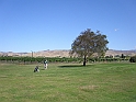 P2050114
