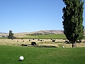 P2050117
