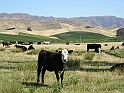 P2050119