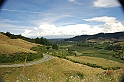 DSC_0503