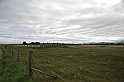 DSC_0503