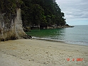 DSC00222