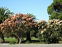 P2130182