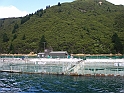 P2160194