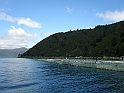 P2160196