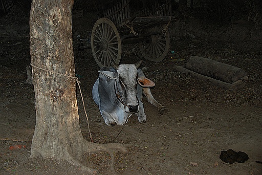 DSC_0057.JPG