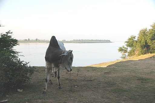 DSC_0075.JPG