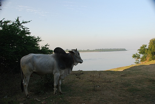 DSC_0077.JPG