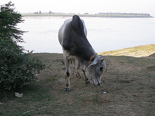 P1070042.JPG