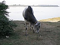 P1070042