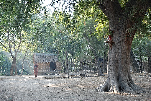 DSC_0156.JPG