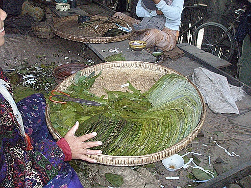 P1080096.JPG