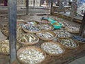 P1080084