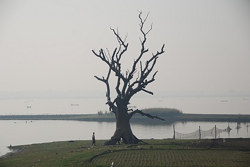 DSC_0236.JPG