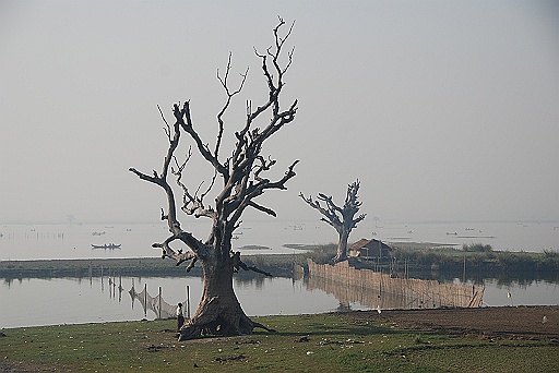 DSC_0241.JPG
