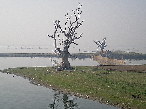 P1090135.JPG