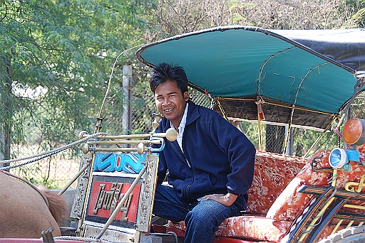 DSC_0132.JPG - Our horse cart driver.