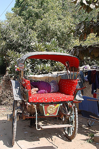 DSC_0141.JPG - Horse cart driver.