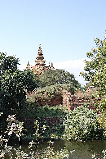 DSC_0142.JPG