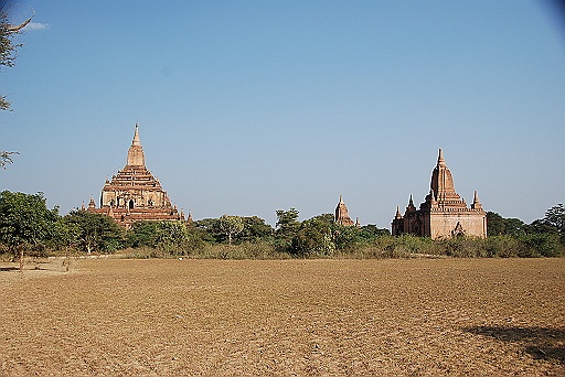 DSC_0175.JPG