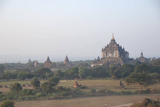 DSC_0203.JPG