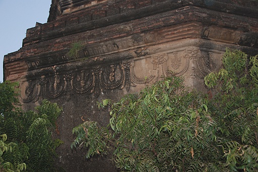 DSC_0230.JPG