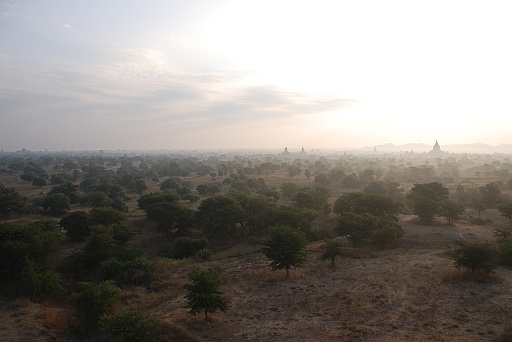 DSC_0114.JPG