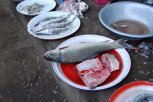 DSC_0121.JPG - Market in Nyaung U.. Too many flies !