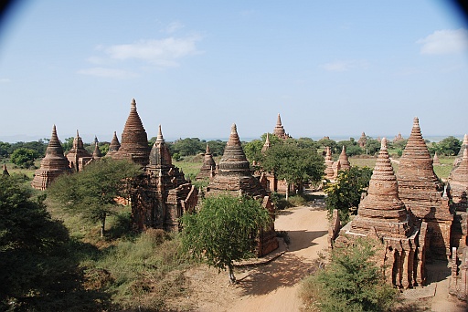 DSC_0155.JPG
