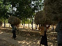 P1060015