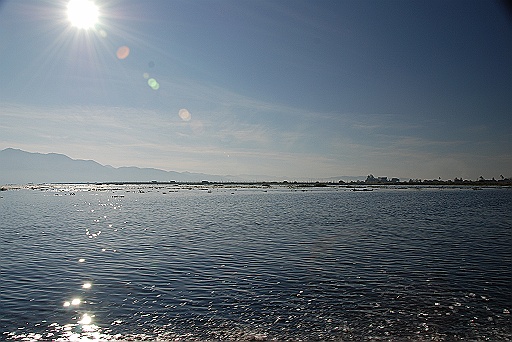 DSC_0598.JPG