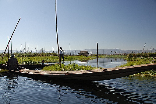 DSC_0744.JPG