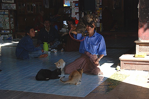 DSC_0772.JPG