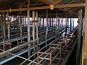 P1140124