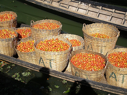 P1160162.JPG