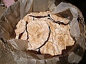 P1160157